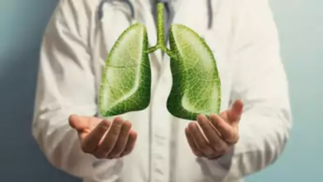 lungs