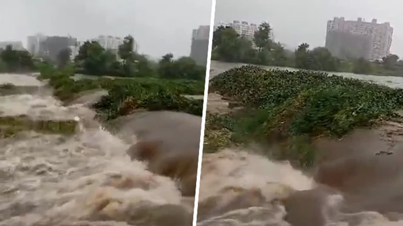 Maharashtra Rains: Pune 'River Deep Cleaning' Captured in Viral Video