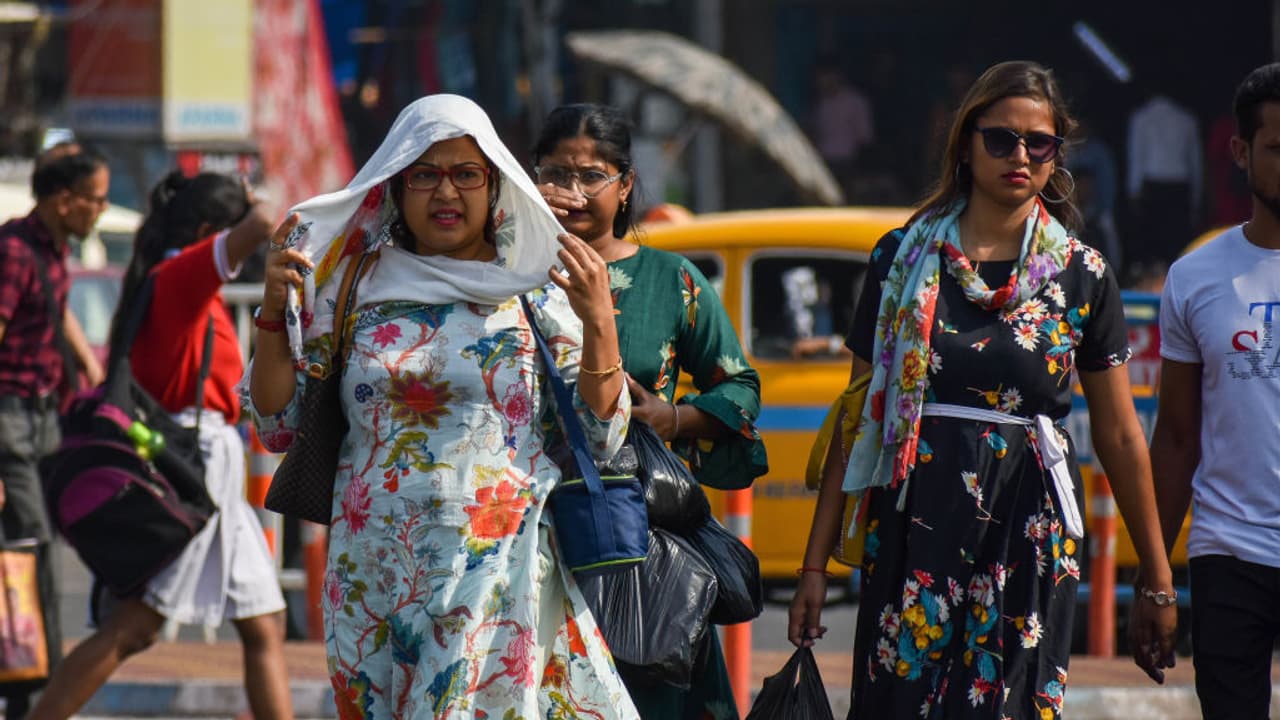 heatwave, weather, temperature, hot, summer