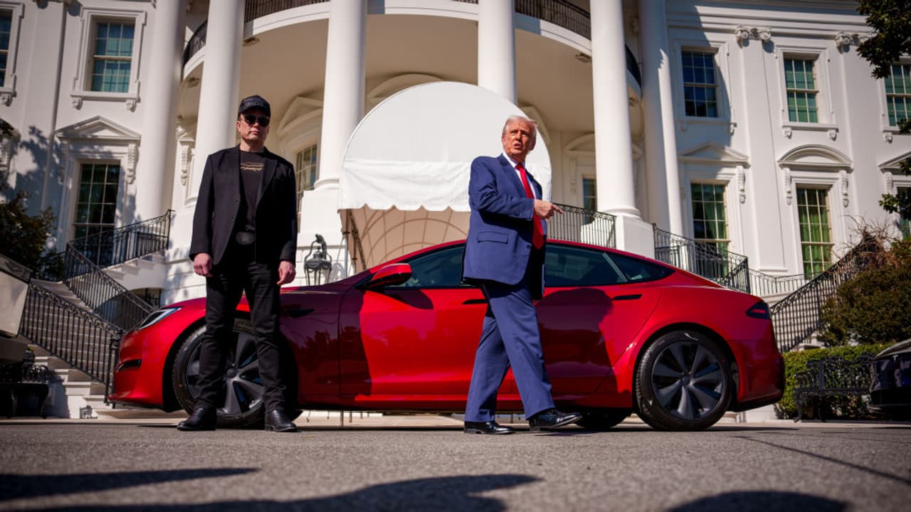 Elon Musk/Trump
