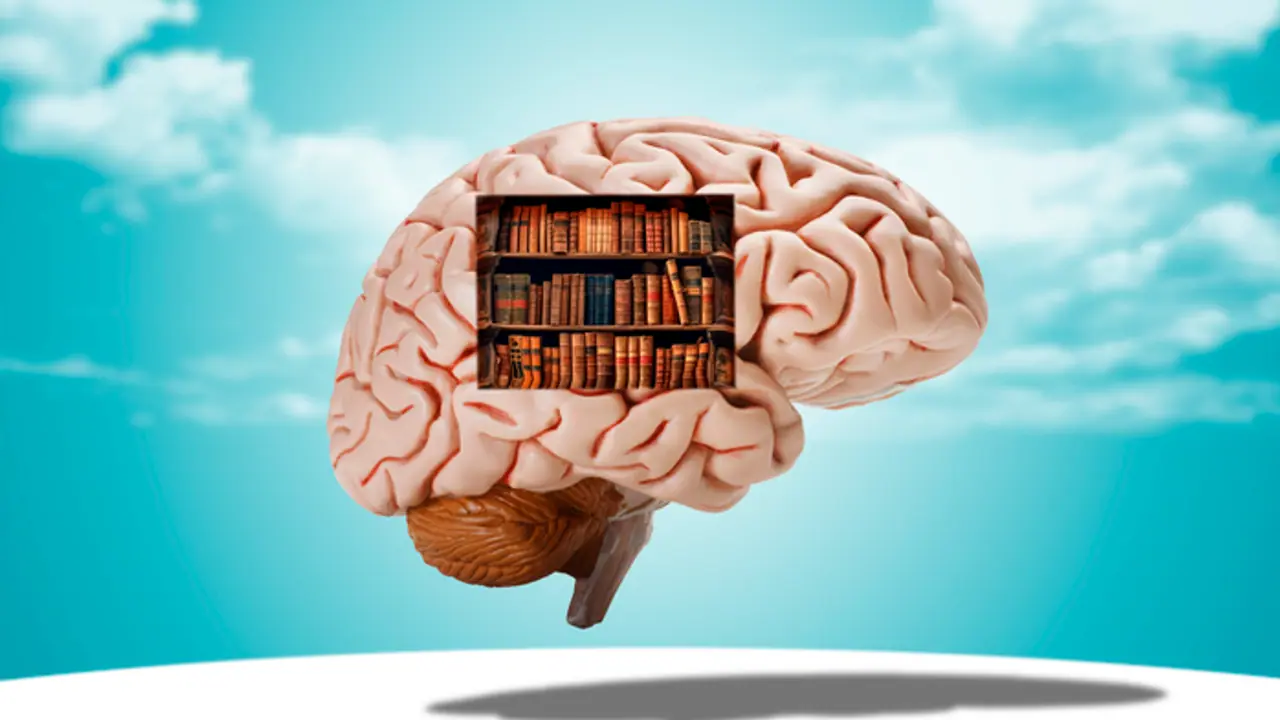 Human brain memory has no fixed limit