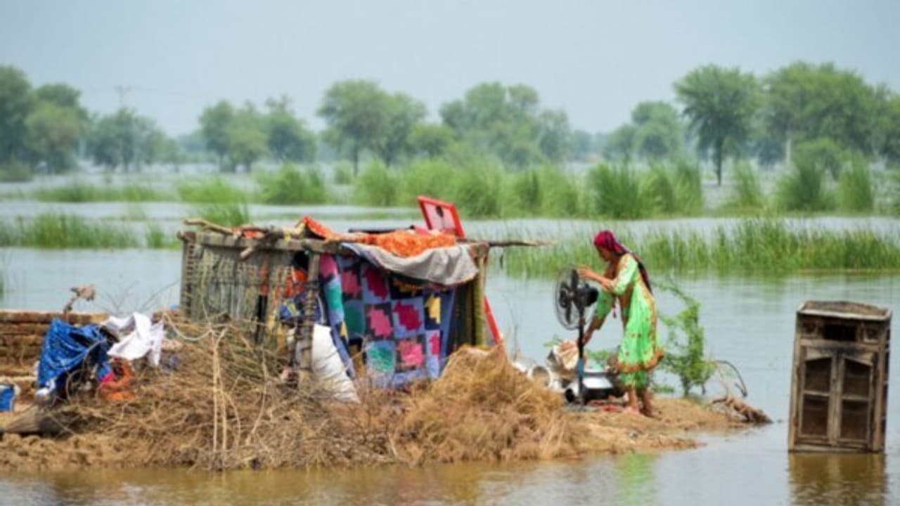 Pakistan Floods Claim 33 Lives Affecting 2200 Villages in Punjab