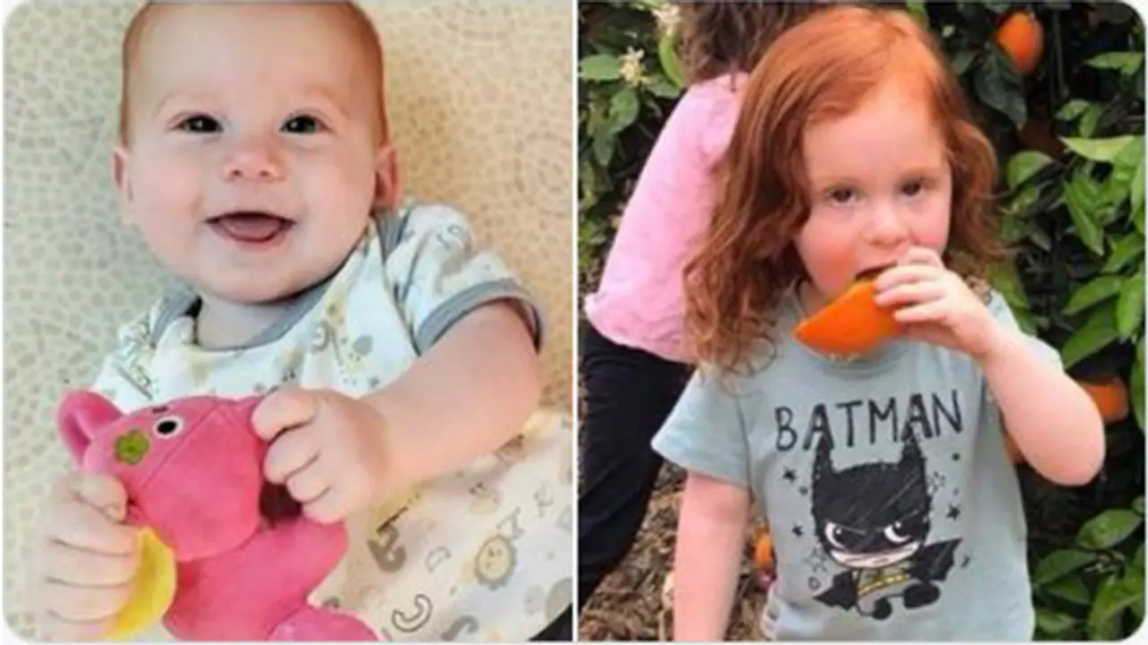 Ariel and Kfir Bibas (Photo/X@Israel) Ariel and Kfir Bibas (Photo/X@Israel)