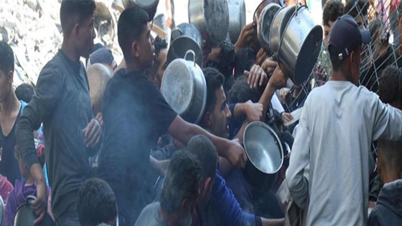 World Health Organization says 2.1 million in Gaza face food shortage (Photo/WHO)