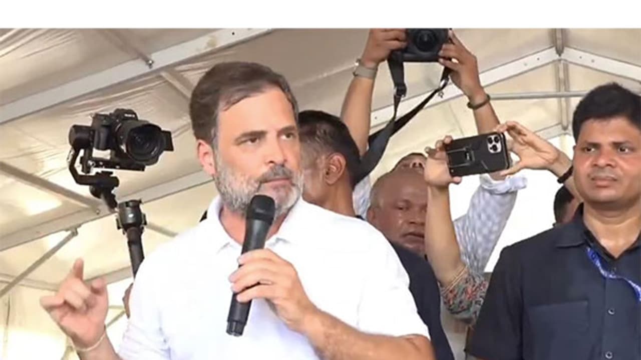 Congress leader Rahul Gandhi (File Photo/ANI) Congress leader Rahul Gandhi (File Photo/ANI)