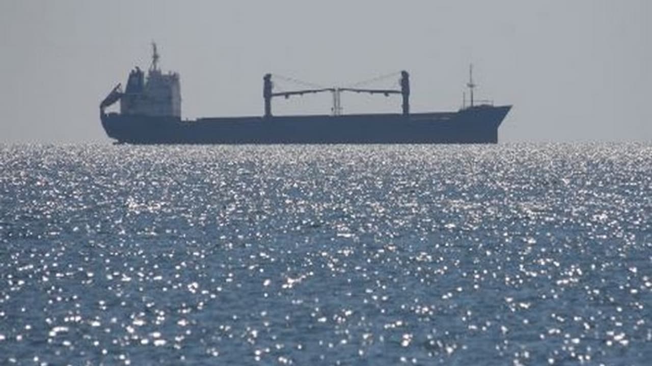 MSC IRINA docks at Vizhinjam port, Kerala (File Photo)