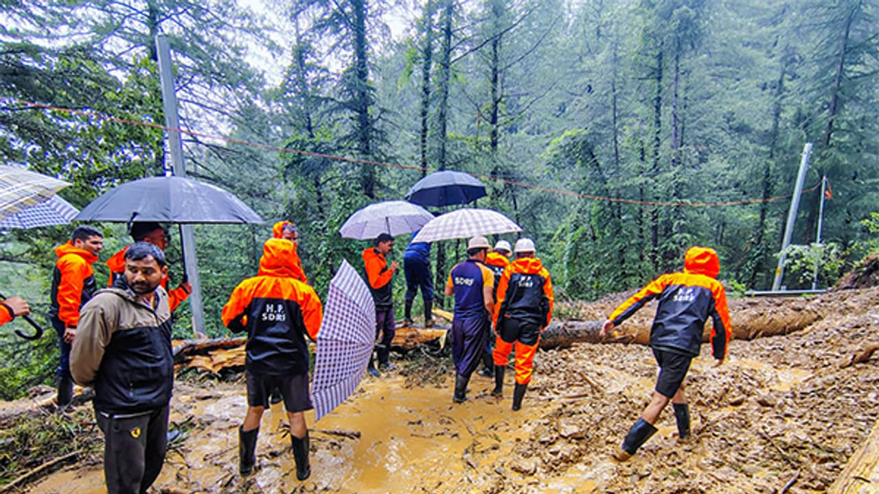 Visual from Seraj Valley in Himachal Pradesh (Photo/ANI) Visual from Seraj Valley in Himachal Pradesh (Photo/ANI)