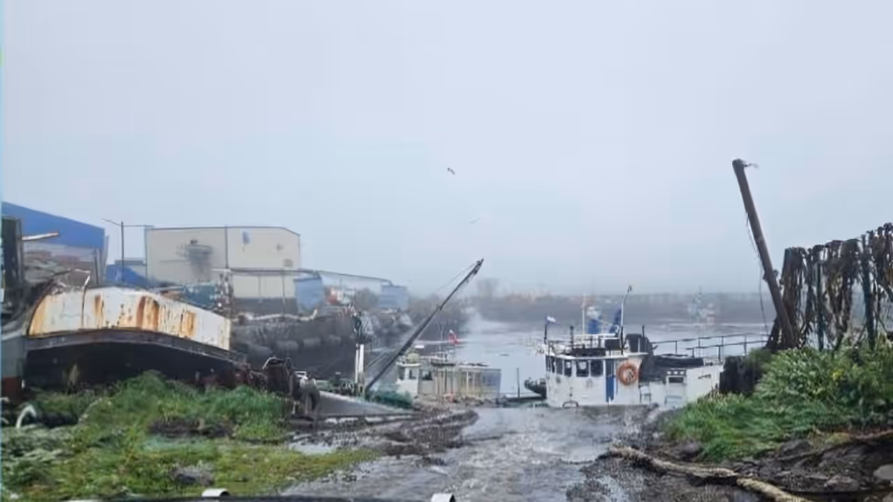 Series of Earthquakes Strike Kuril Islands in Russian Far East