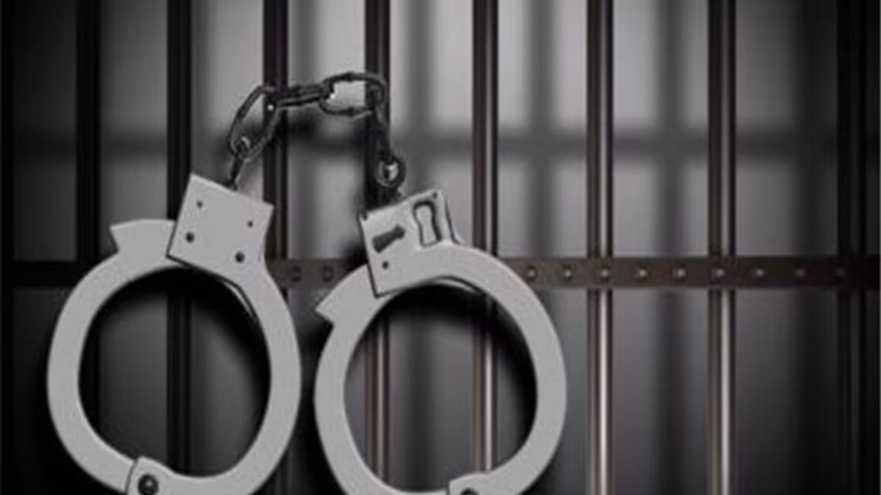 Delhi Police Crackdown on Illegal Immigrants: 71 Foreign Nationals Deported in May(Photo/ANI)