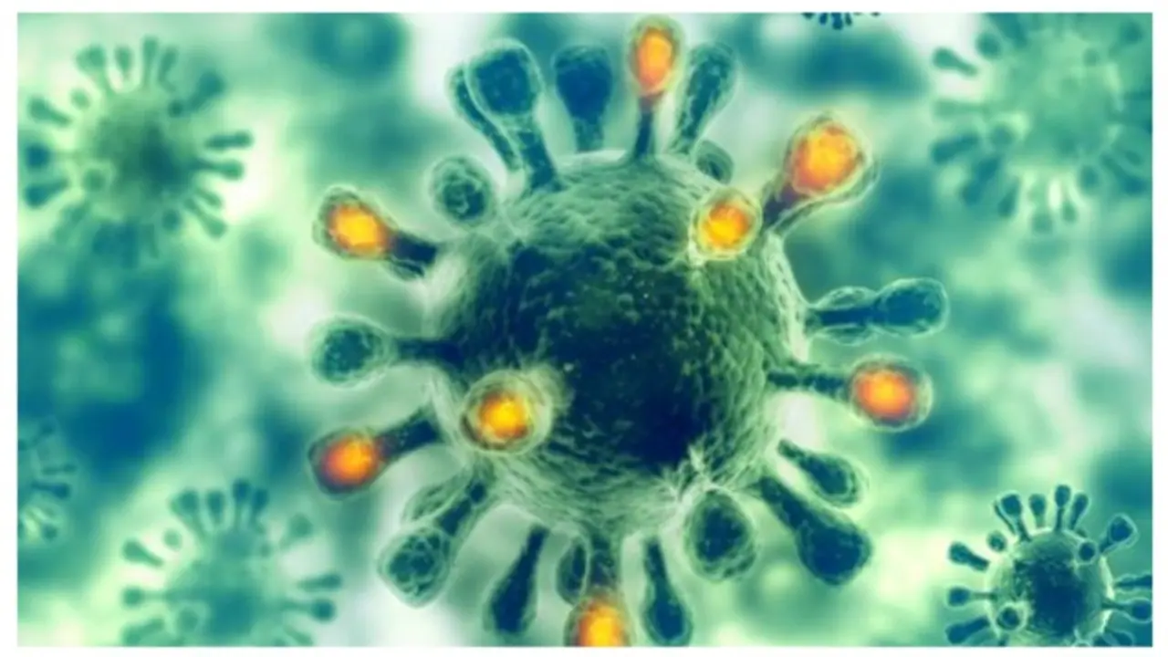 monkey fever monkey fever