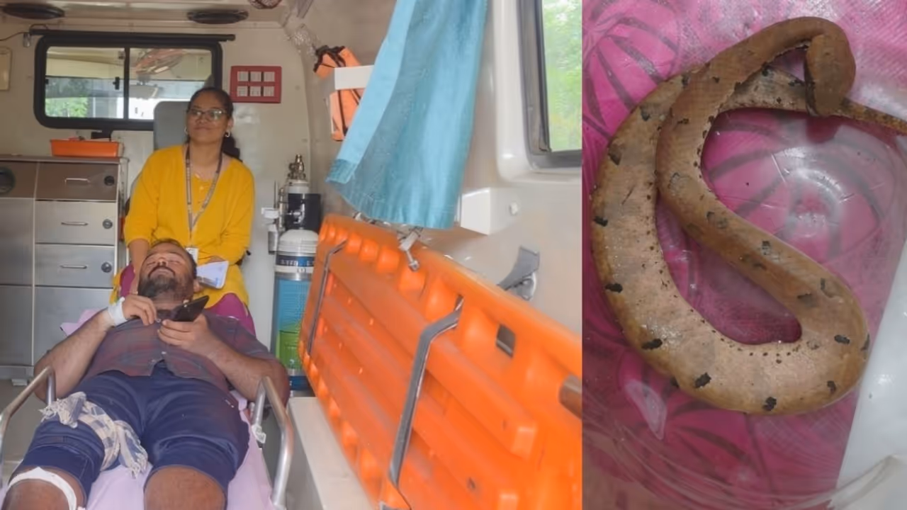 tamil nadu worker bitten by snake while working in kozhikode farm tamil nadu worker bitten by snake while working in kozhikode farm