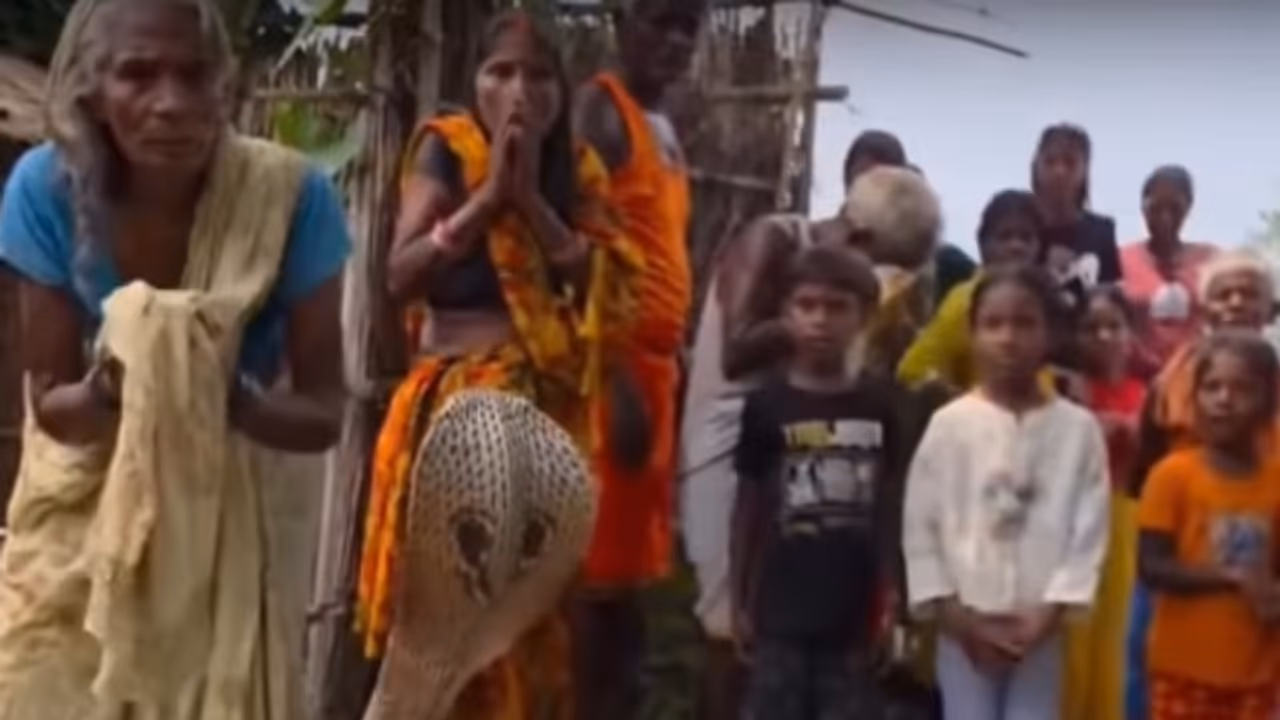 Bihar Villagers Gather To Pray As Cobra Rests On Bed Bihar Villagers Gather To Pray As Cobra Rests On Bed