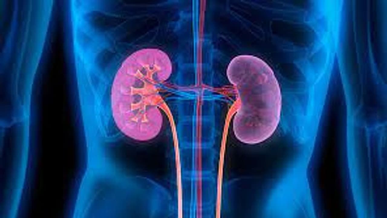 Kidney health