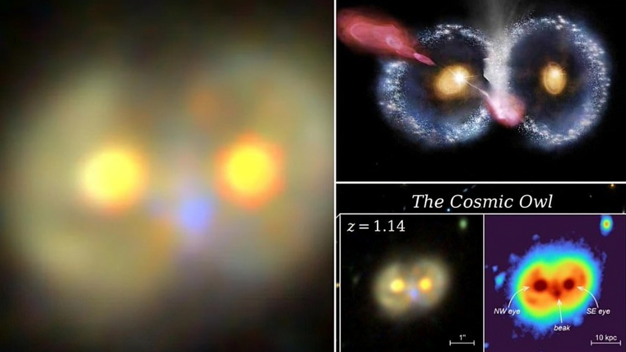 Cosmic owl captured by James Webb Space Telescope 