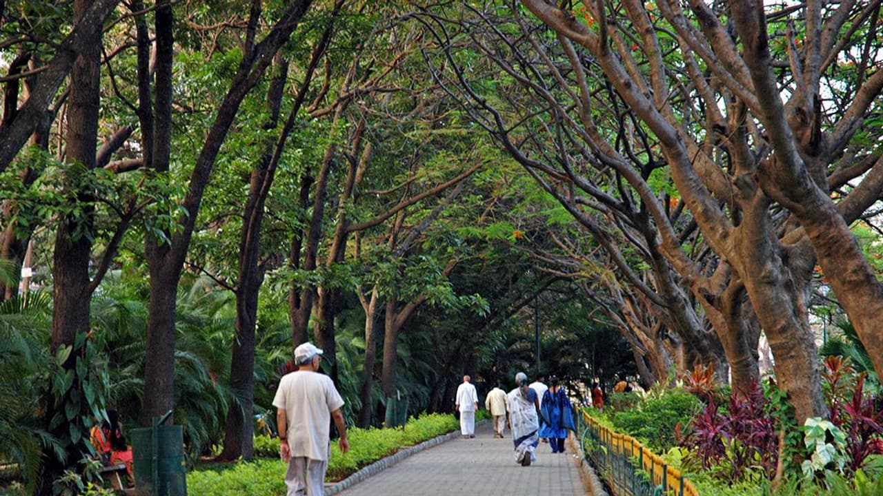 Bengaluru Public Park Bengaluru Public Park