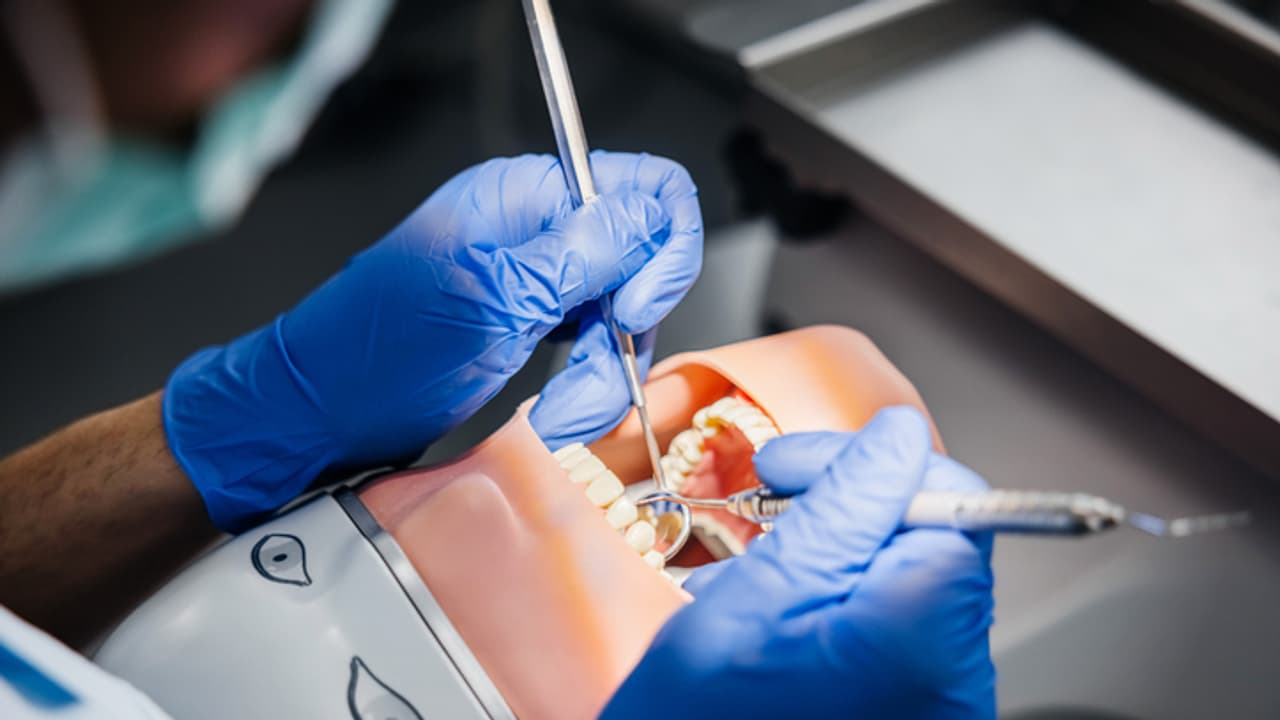 Wisdom Teeth Wisdom Teeth