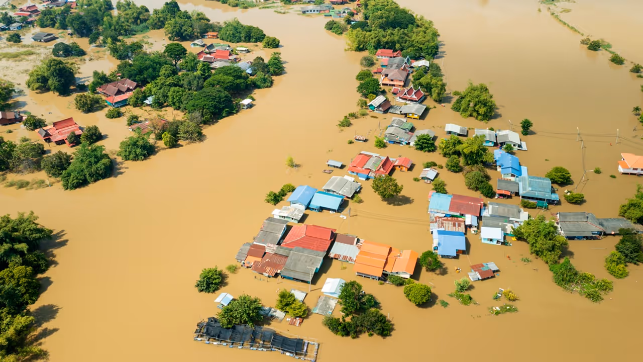 Flood 
