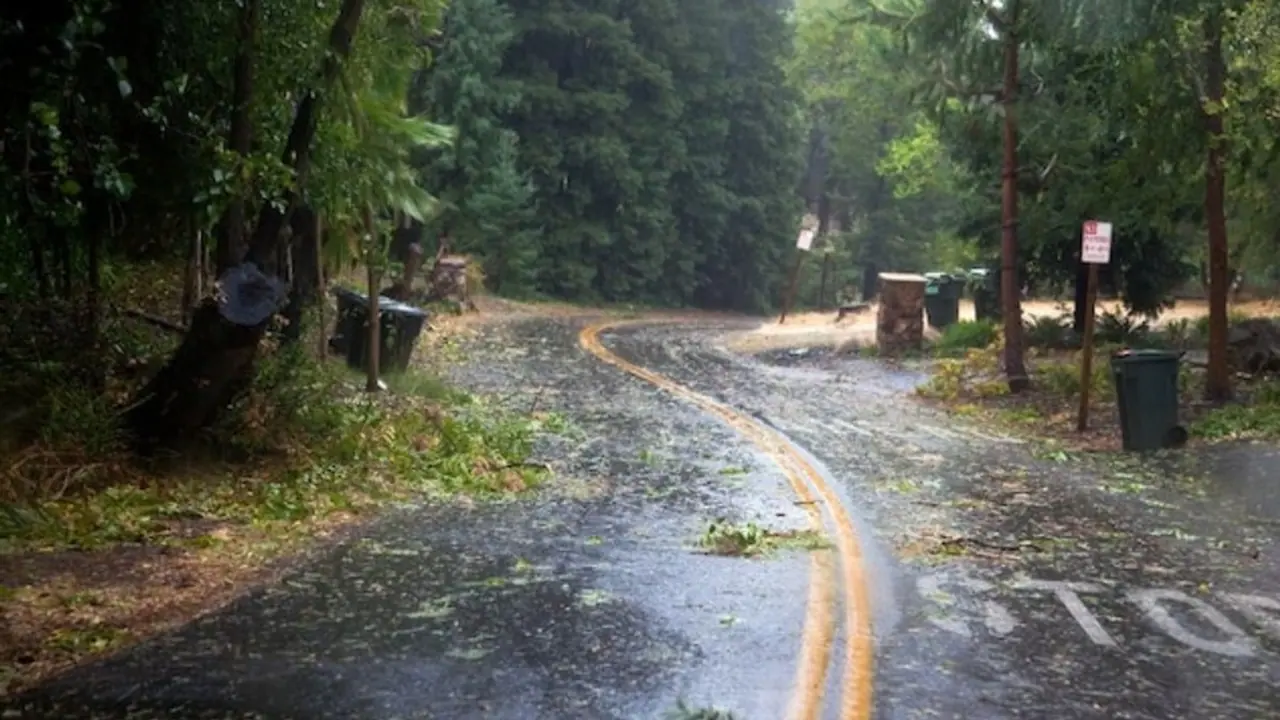 MP Weather MP Weather