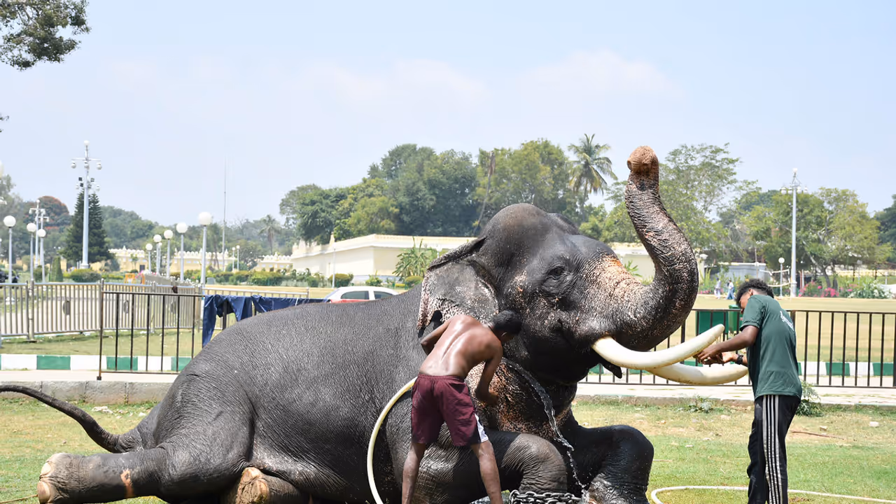 Mysore Dasara 2026 Mysore Dasara 2026