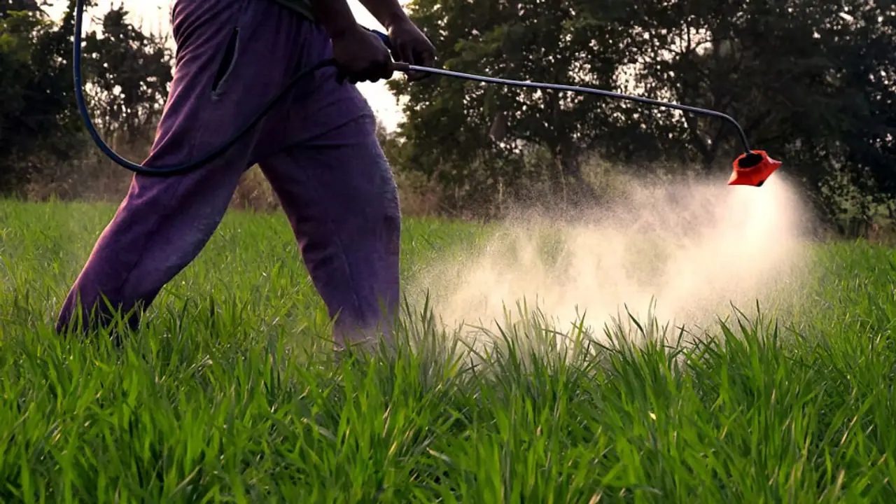 Toxic soil crisis Toxic soil crisis