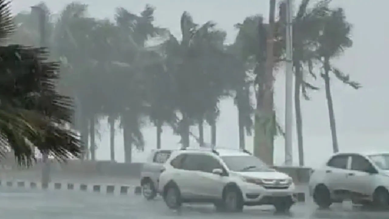 Delhi Weather Delhi Weather