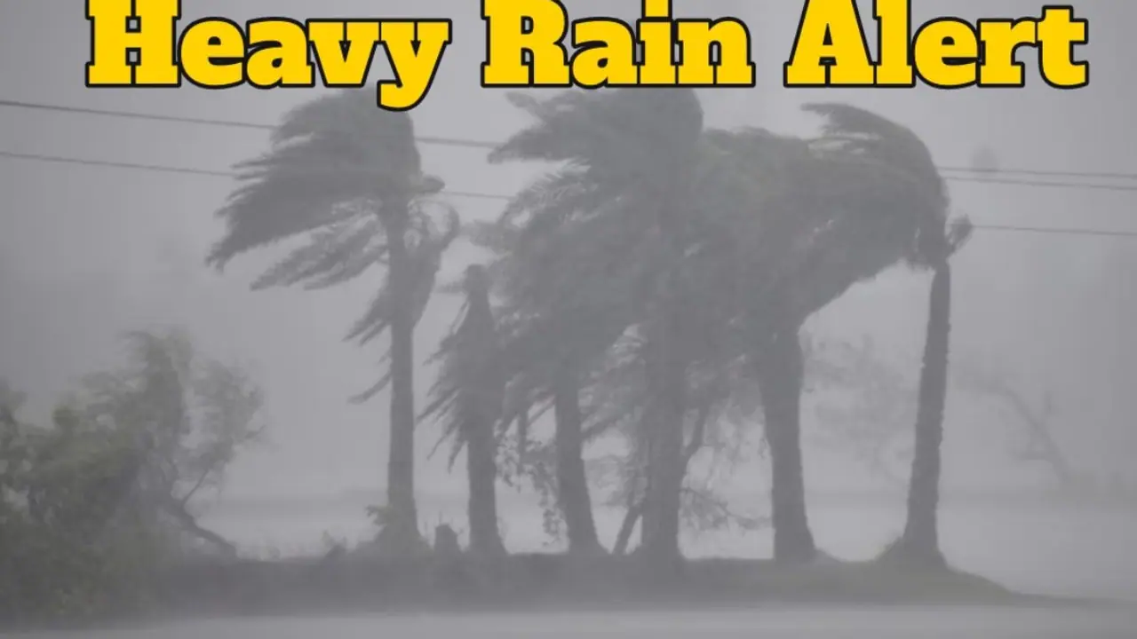 Heavy rain alert Heavy rain alert