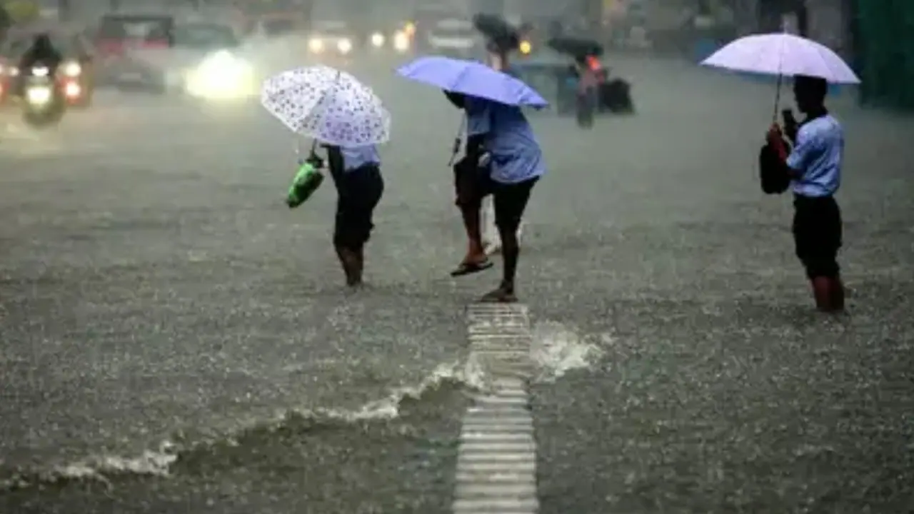 Rain Alert In Punjab