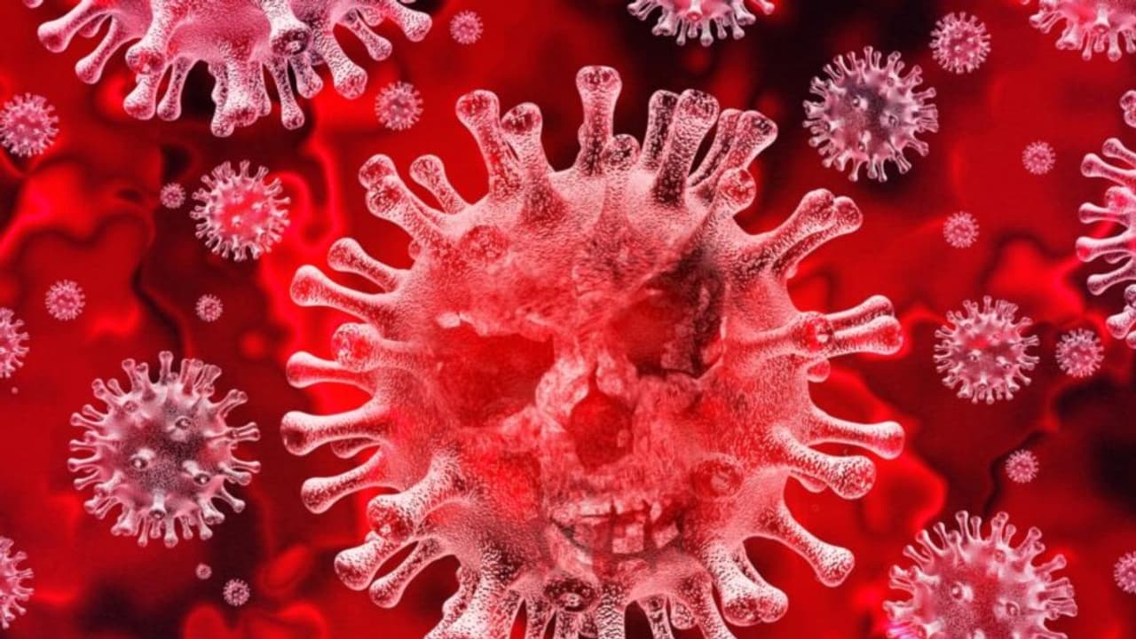 Coronavirus Coronavirus