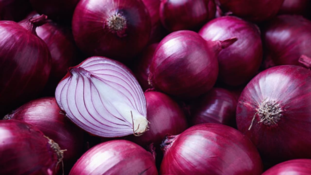 महाराष्ट्र में भारी बारिश के कारण प्याज की फसल बर्बाद