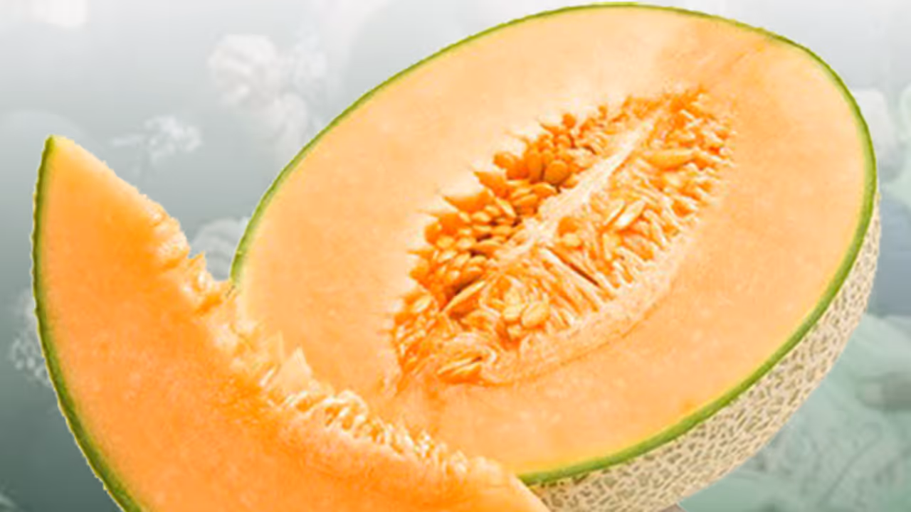 muskmelon prices in pakistan muskmelon prices in pakistan