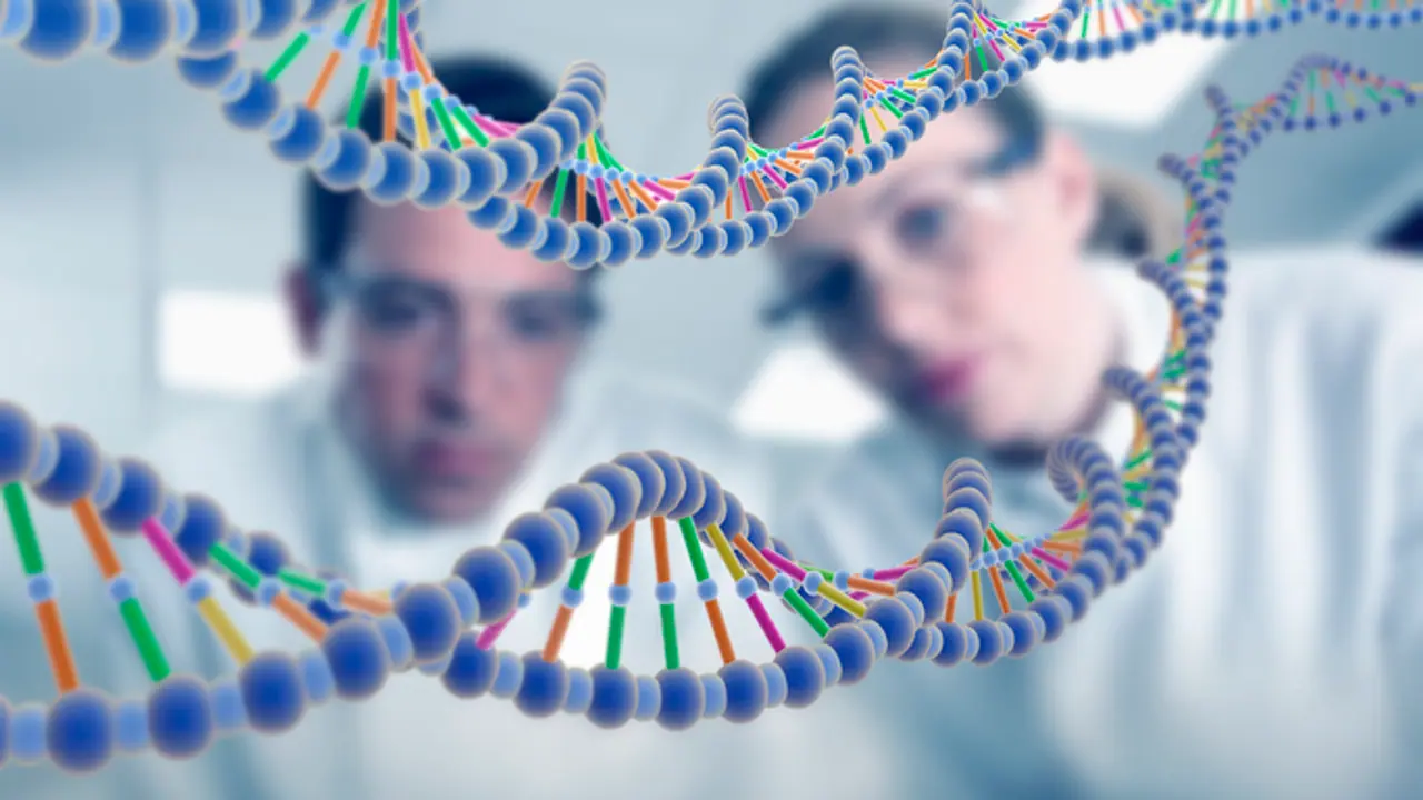 DNA