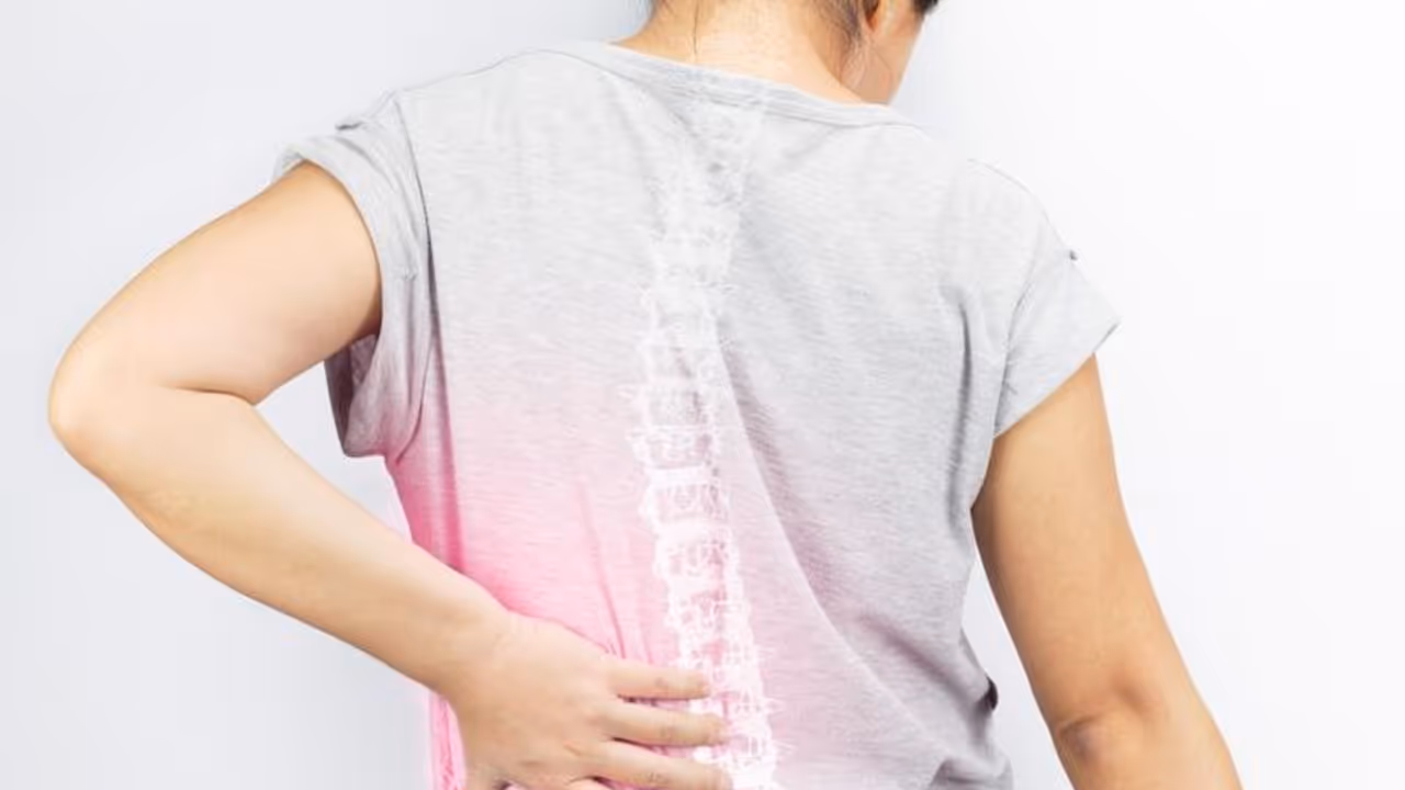 world osteoporosis day world osteoporosis day