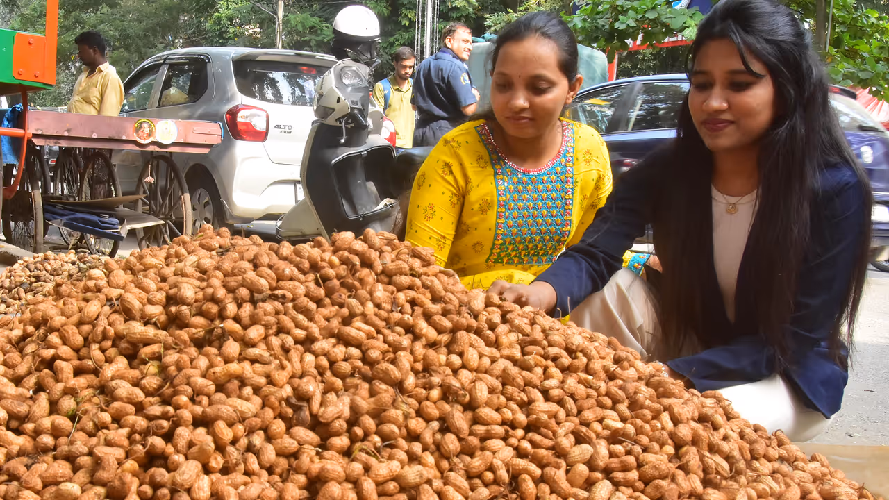 Basavanagudi gears up for the vibrant Kadalekai Parishe festival