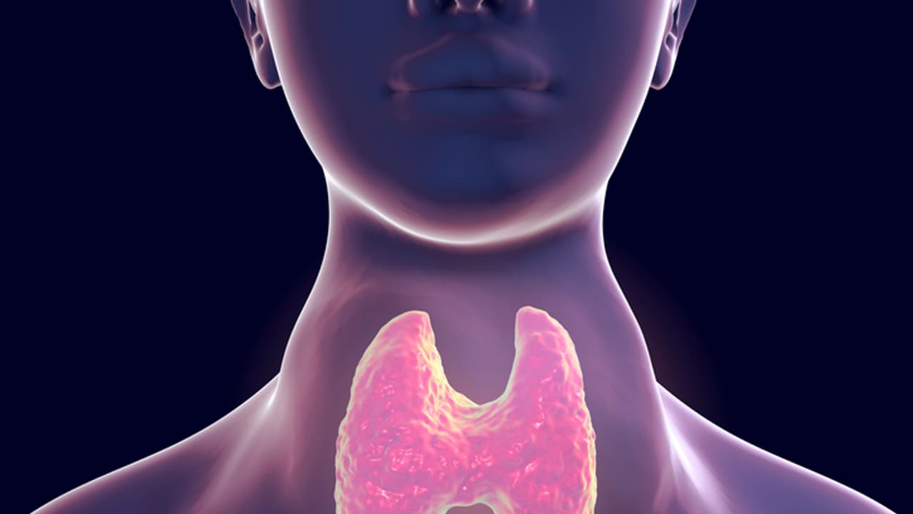 Thyroid Level Thyroid Level