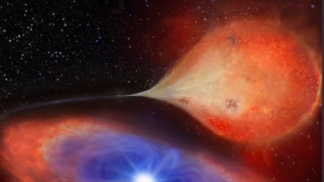 White Dwarf, Zombie Planets, White Dwarf, Red Giant Star, Solar System, Sun's Future, Space Discovery, Astronomy, NASA, Planetary Science, Dead Star, Space News, Earth Future, Science News, Nature Astronomy, സോംബി ഗ്രഹങ്ങൾ, വെള്ളക്കുള്ളൻ നക്ഷത്രം, ചുവന്ന ഭീമൻ നക്ഷത്രം, സൗരയൂഥം, സൂര്യന്റെ ഭാവി, ബഹിരാകാശം, ശാസ്ത്രലോകം, ജ്യോതിശാസ്ത്രം, ഗ്രഹങ്ങൾ, ഭൂമിയുടെ ഭാവി, ശാസ്ത്രവാർത്തകൾ, പുതിയ കണ്ടെത്തൽ White Dwarf, Zombie Planets, White Dwarf, Red Giant Star, Solar System, Sun's Future, Space Discovery, Astronomy, NASA, Planetary Science, Dead Star, Space News, Earth Future, Science News, Nature Astronomy, സോംബി ഗ്രഹങ്ങൾ, വെള്ളക്കുള്ളൻ നക്ഷത്രം, ചുവന്ന ഭീമൻ നക്ഷത്രം, സൗരയൂഥം, സൂര്യന്റെ ഭാവി, ബഹിരാകാശം, ശാസ്ത്രലോകം, ജ്യോതിശാസ്ത്രം, ഗ്രഹങ്ങൾ, ഭൂമിയുടെ ഭാവി, ശാസ്ത്രവാർത്തകൾ, പുതിയ കണ്ടെത്തൽ