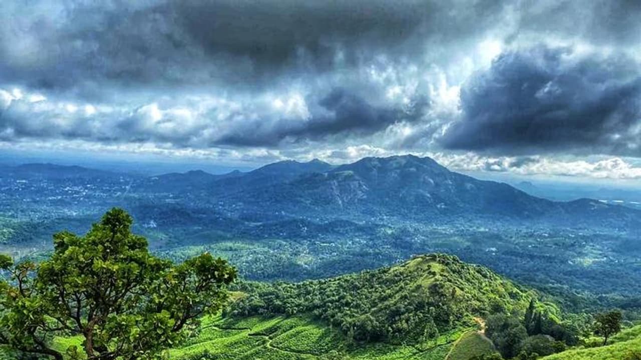 Wayanad, Kerala Wayanad, Kerala