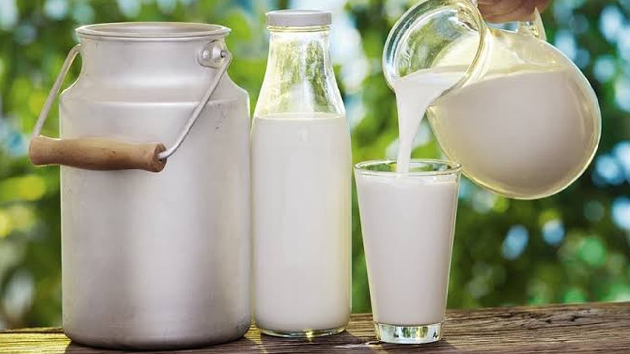 milk milk