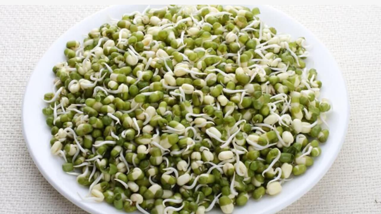 sprouted moong sprouted moong