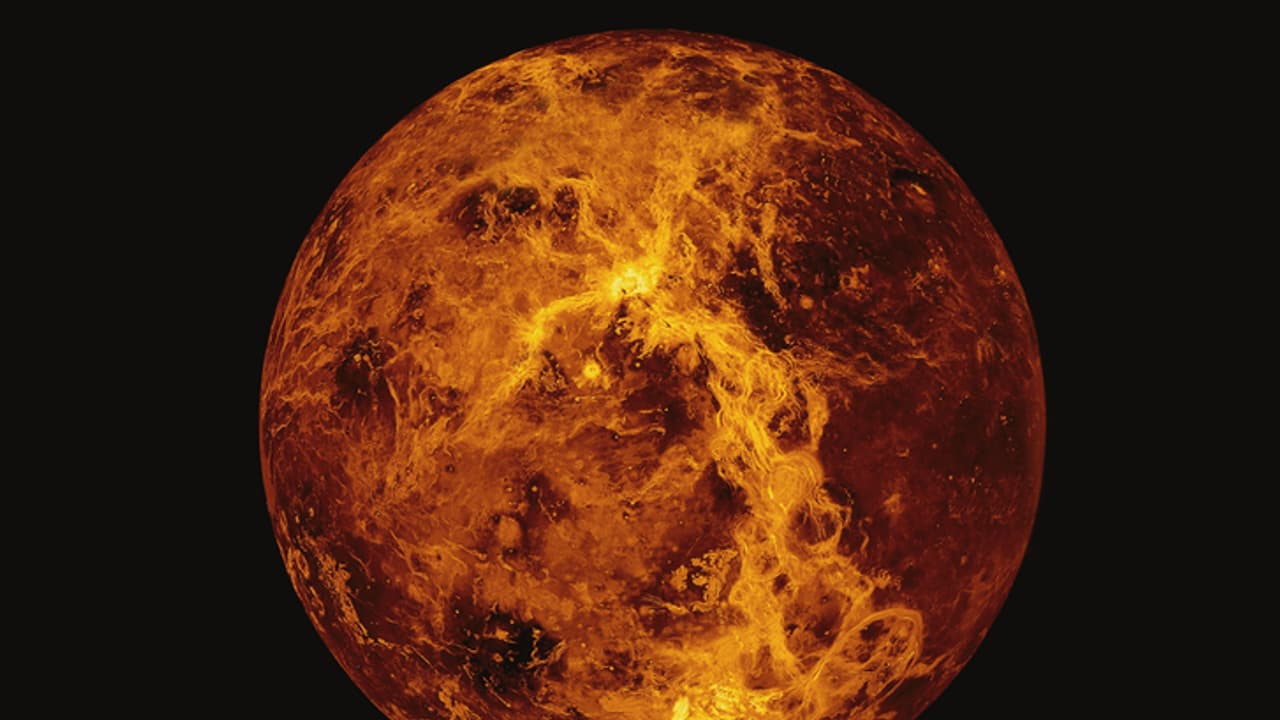 Venus Venus