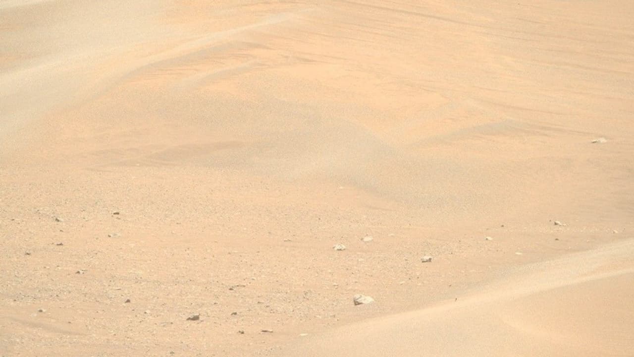 Megaripples at ‘Kerrlaguna'