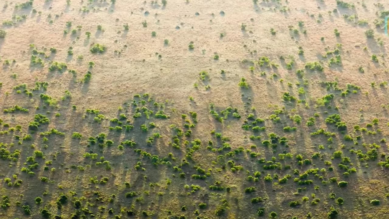 Gobi Desert Gobi Desert