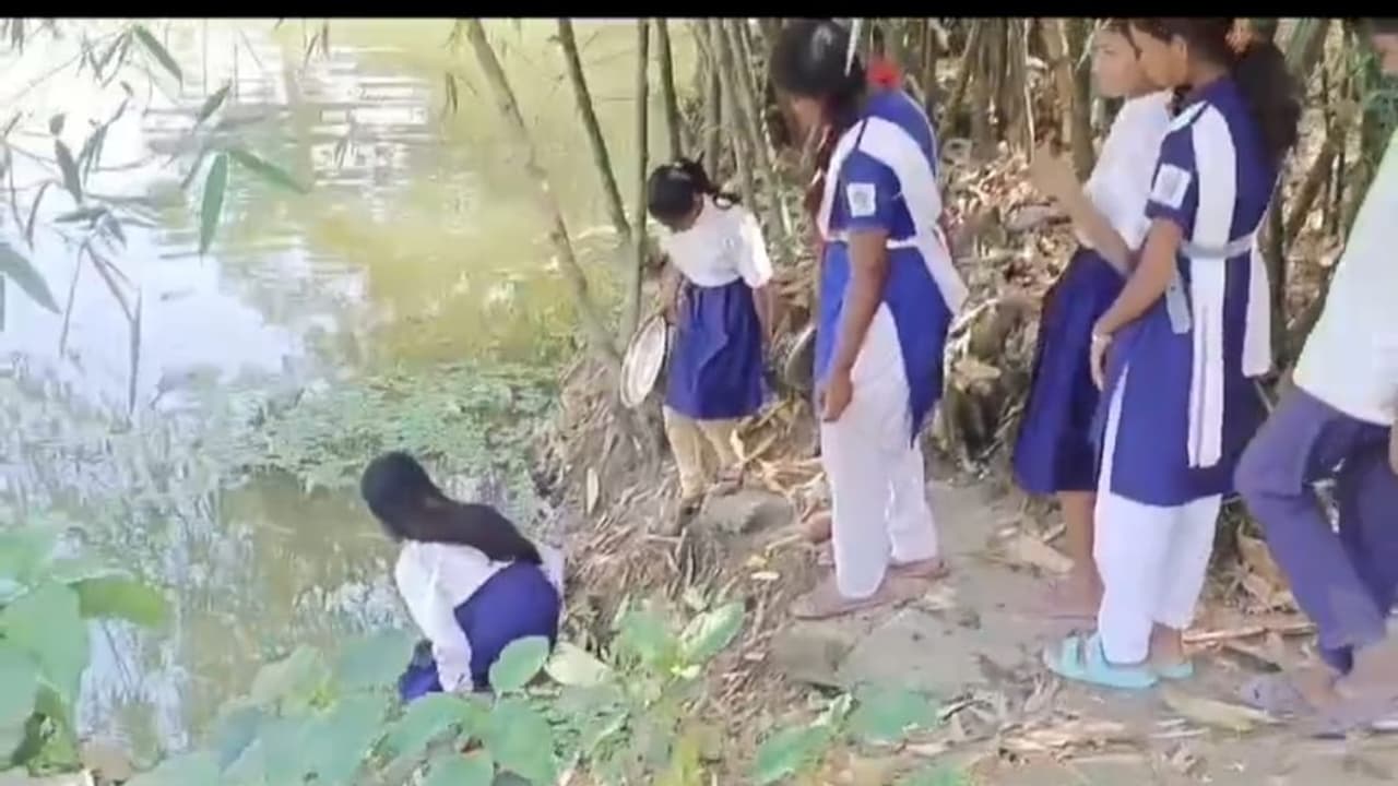 mid day meal mid day meal