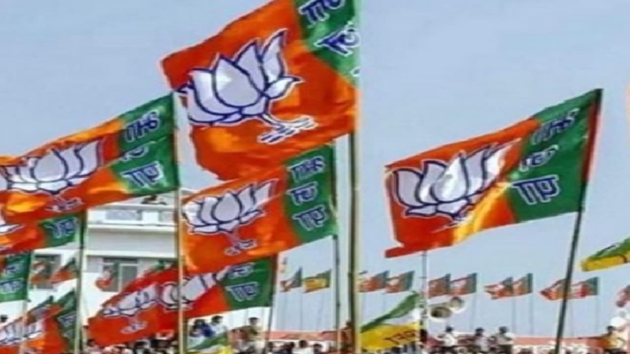 bjp bjp