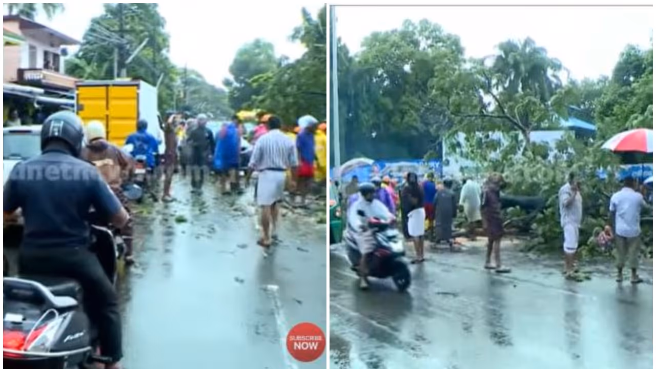 rain rain