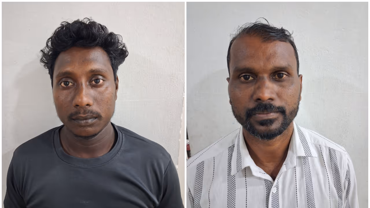 arrest arrest