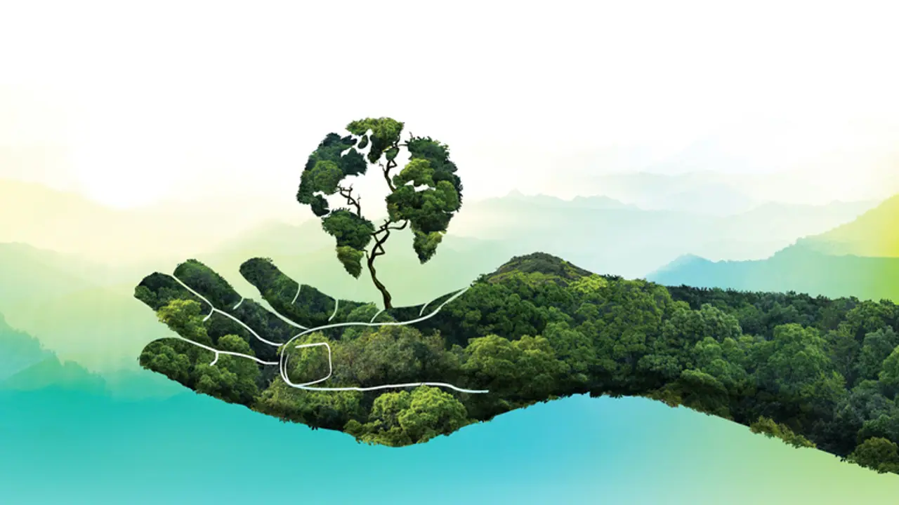 World Environment Day