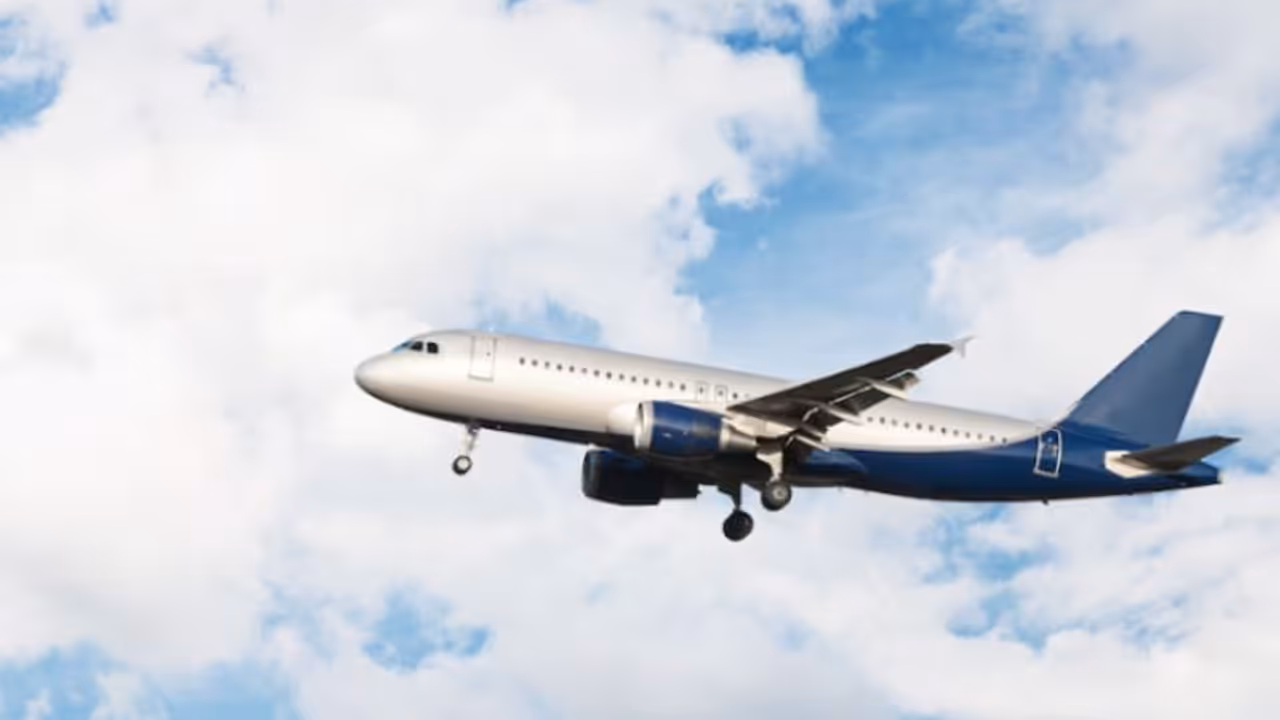 nancy tiwari nancy tiwari