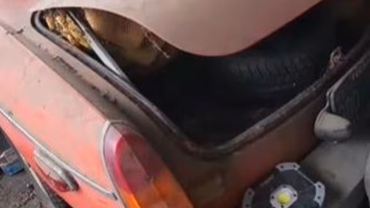 Car's Mysterious Buzzing Noise Reveals Beehive Inside Car's Mysterious Buzzing Noise Reveals Beehive Inside