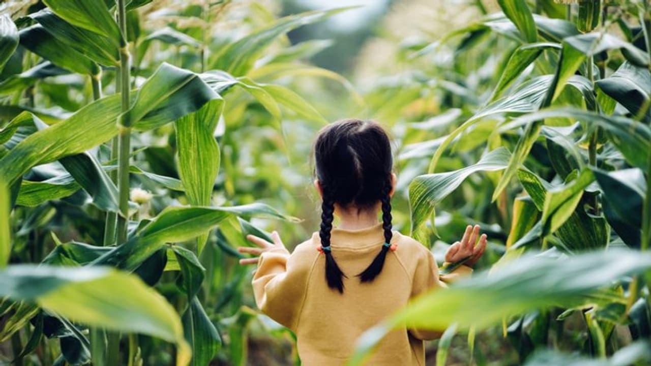 china kids china kids