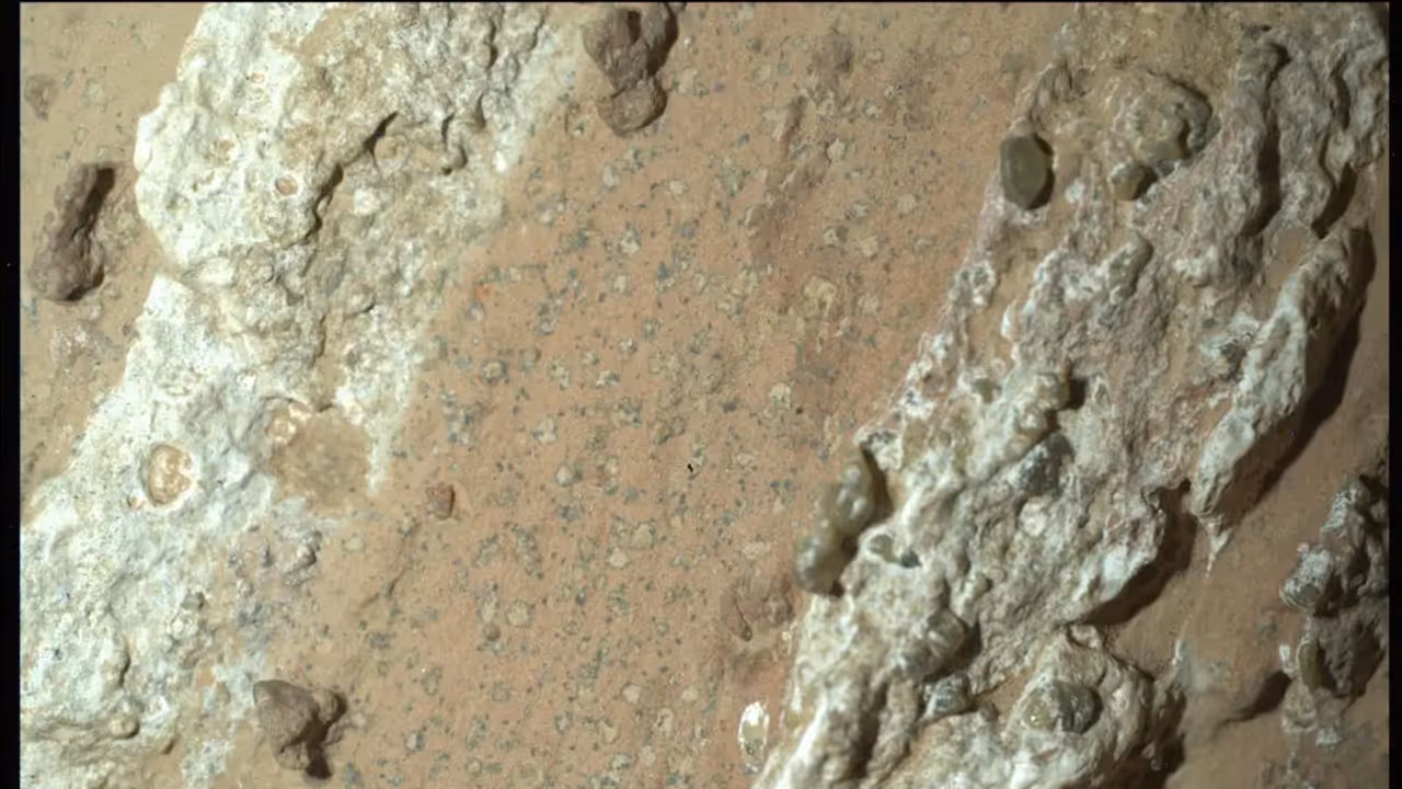 NASA's Perseverance Mars rover discovered Leopard Spots on Reddish Rock